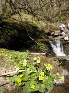 Ruisseau du Verni à Calvinet