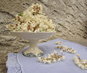 Compotier débordant de fleurs d'accacia fraîchement cueillies lors d'une promenade dans les bois.