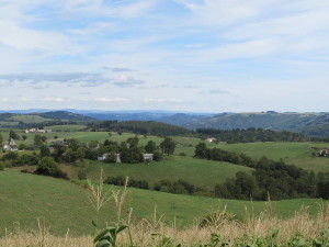 Sur la route de La Vinzelle à Cassaniouze