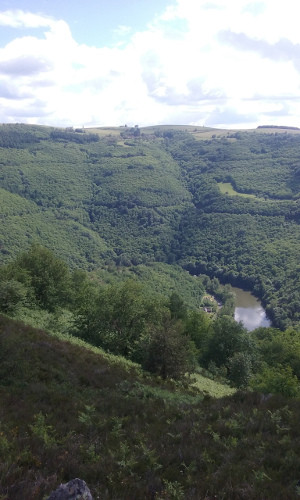 Bruyères et Fougères au dessus de la Vallé du Lot