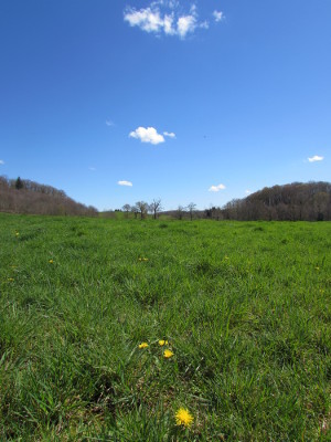 Du gite de La Rouquette vue sur les près