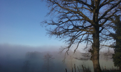 Hiver sur la route de Maurs