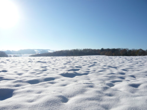 Promenade hivernale à La Rouquette