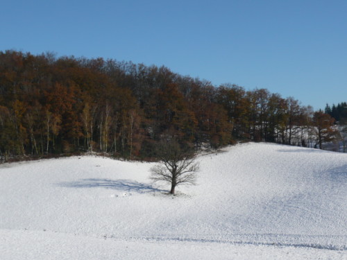 Un fort ensoleillement hivernal dans le cantal