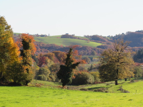 Paysage bocager d'automne à 800m du Gite de La Rouquette