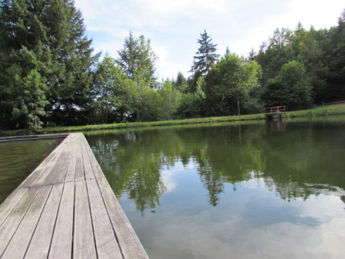 Piscine de calvinet entre piscine et étang rêverie