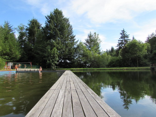 Piscine de calvinet  entre piscine et étang