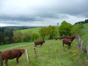 Sur la D601 près de Calvinet