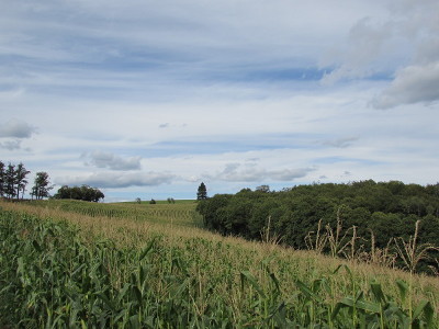 Sur la route de la Vinzelle à Cassaniouze