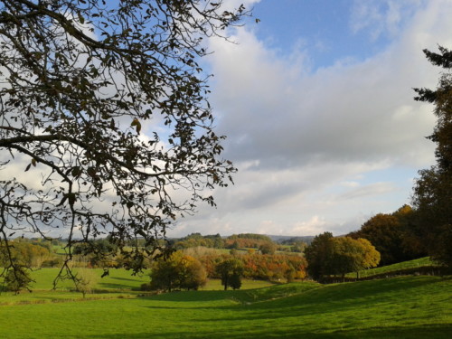 Sur le chemin de Cailhac à la Rouquette en automne