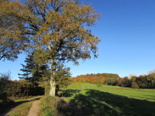 Sur le chemin de la Rouquette à Jalenques