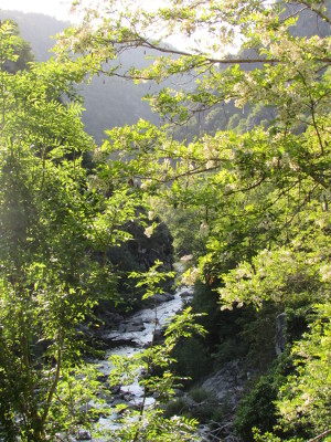 Vue plongeante sur le Lot de la D 920