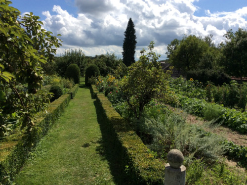 Allée de buis du jardin